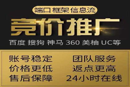 竞价推广实战：经典案例深度解析